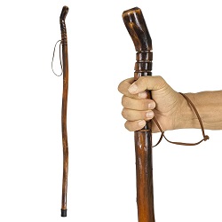 Vive Wooden Walking Stick